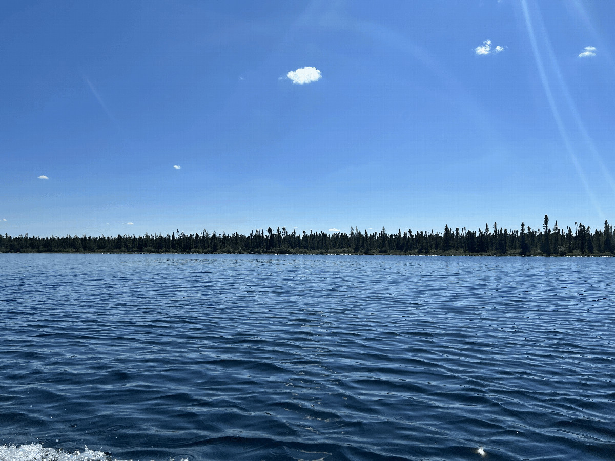 The general area of the confluence, from about 100 meters north