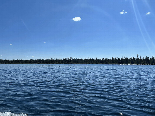 #1: The general area of the confluence, from about 100 meters north