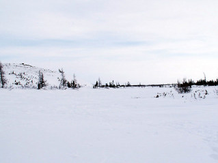 #1: View of the confluence site