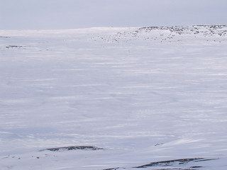 #1: View of the confluence point