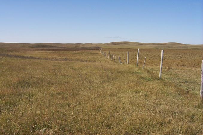 The view west along the 49th parallel.  Canada on the right, United States on the left.