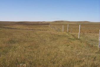 #1: The view west along the 49th parallel.  Canada on the right, United States on the left.