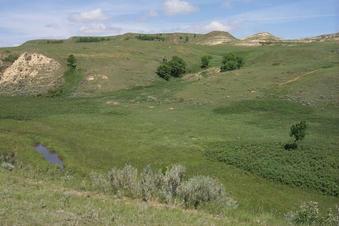 #1: The view NW from the confluence.