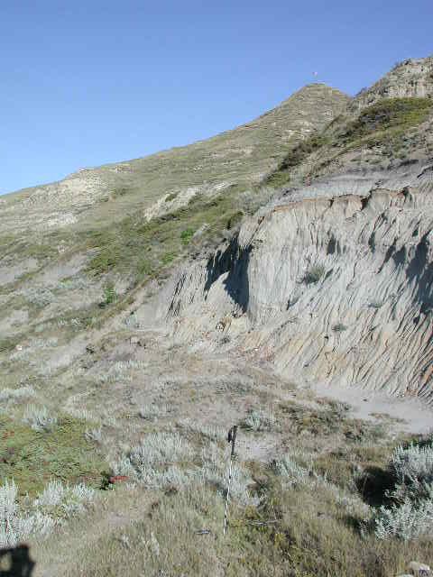 Hiking pole marks the confluence