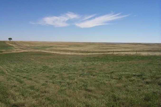 The view southeast.  The border is along the fence next to the road.