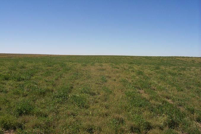 The view west from near the confluence.