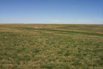 #1: Looking north into Saskatchewan