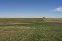 #2: The view east from the confluence.  One lonely tree stands guard in the distance.