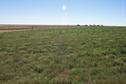 #4: Looking south into Montana.