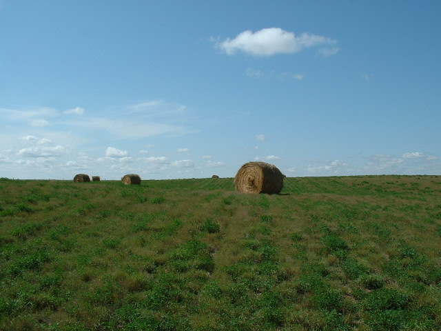 Looking West from the confluence.