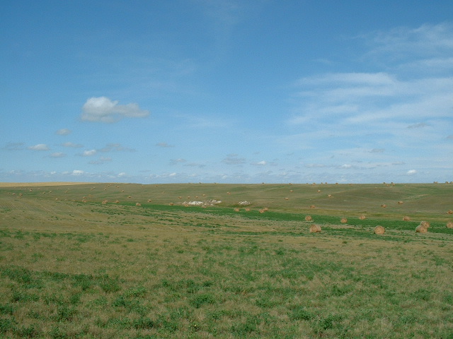 Looking North from the confluence.