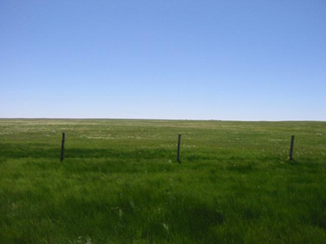 Looking South into Montana