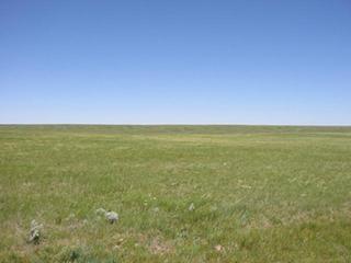 #1: Looking North into Saskatchewan.