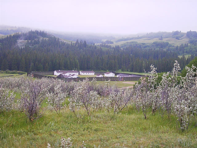 Fort Walsh in the Cypress Hills
