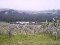 #7: Fort Walsh in the Cypress Hills