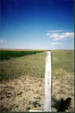 #3: Looking west along the Alberta/Montana border