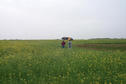 #4: Alan and Grant heading southwest towards the confluence.