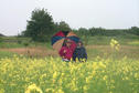 #6: Carolyn and Grant waiting for Alan's return.