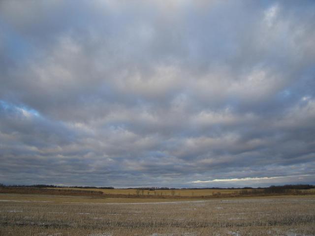 Looking North