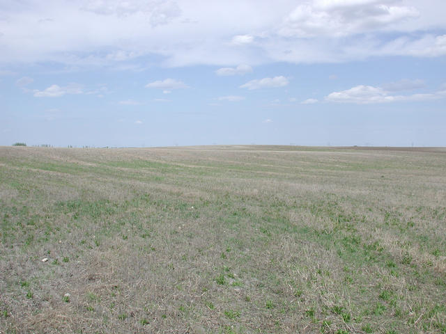 Looking North from the confluence