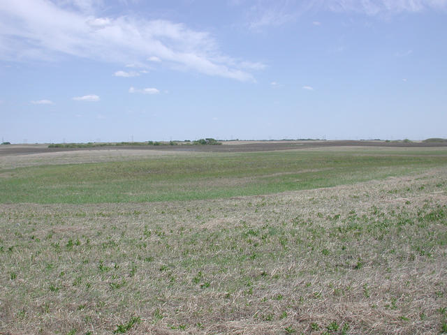 Looking East from the confluence