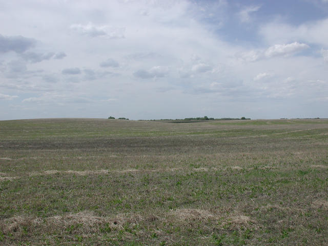 Looking West from the confluence