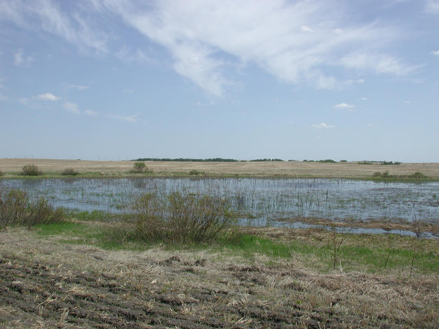 The pond I passed near the confluence