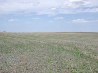 #1: Looking North from the confluence