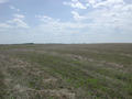 #3: Looking South from the confluence