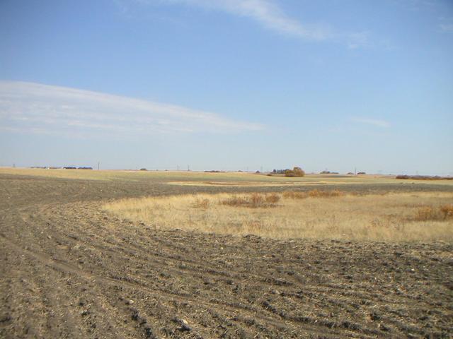 Looking east from the confluence.