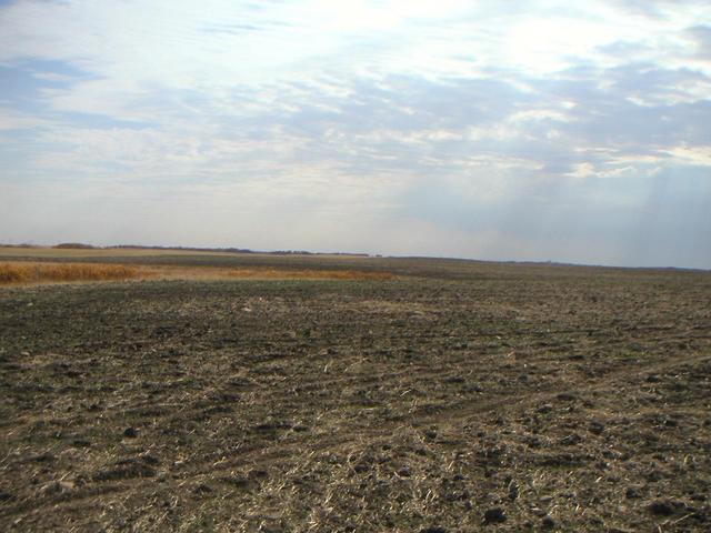 The view south.