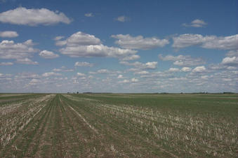 #1: Looking North from the Confluence