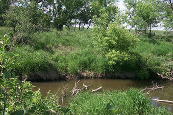 #1: Looking North from the confluence