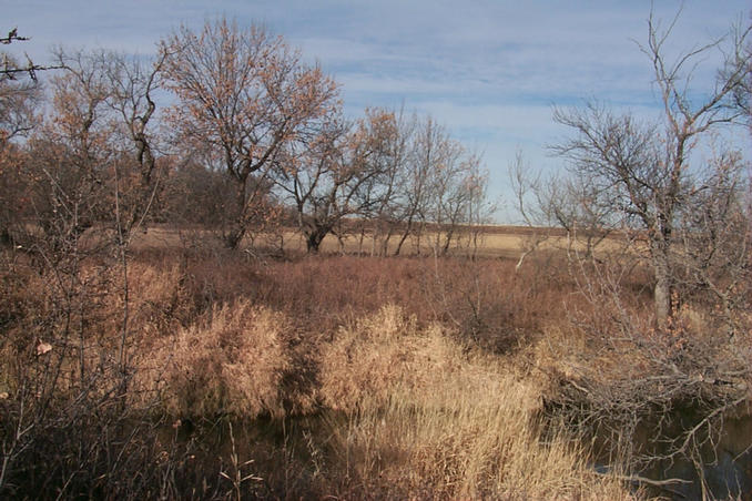 Looking North from the confluence.