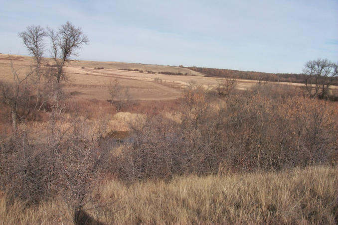 The view to the Northeast from the hill just above the confluence (located below the lower left edge of the picture).