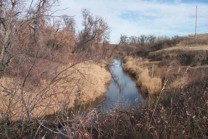 Looking east along Long Creek.  The confluence is located on the right bank below the utility pole.