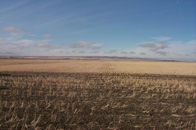  Looking west from near the confluence.  The Dirt Hills can be seen in the background.