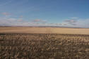 #8:  Looking west from near the confluence.  The Dirt Hills can be seen in the background.