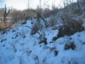 #8: Looking West