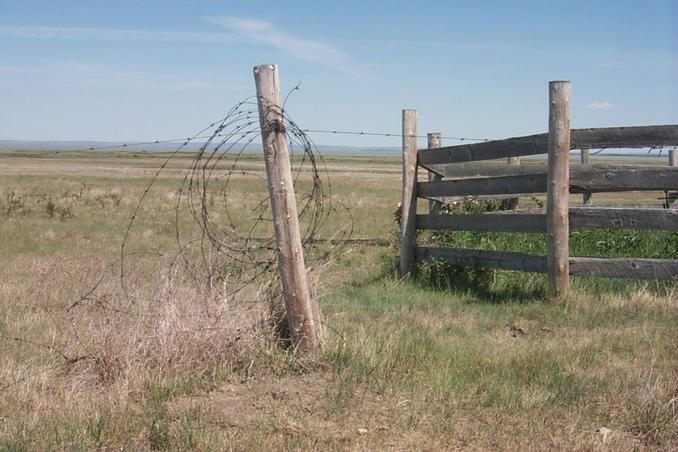 Another view looking northeast from the corral.