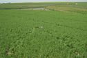 #6: General area facing west
