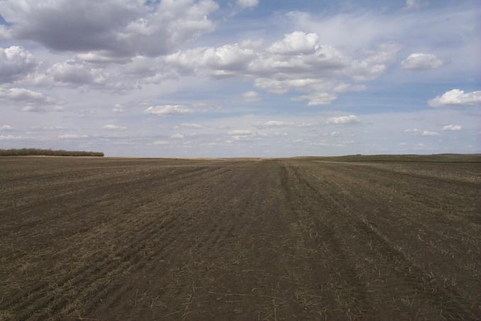 View north from the confluence point.