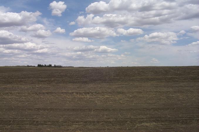 Looking east from the confluence.