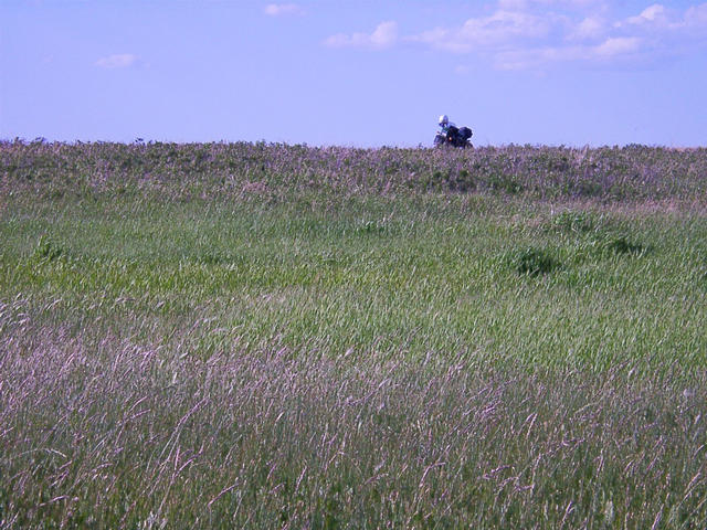 Looking North From the CP