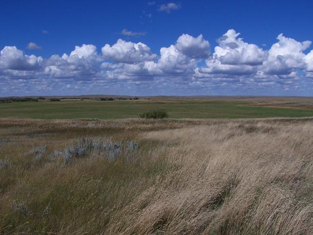 Overview of the confluence from 300 meters looking North.