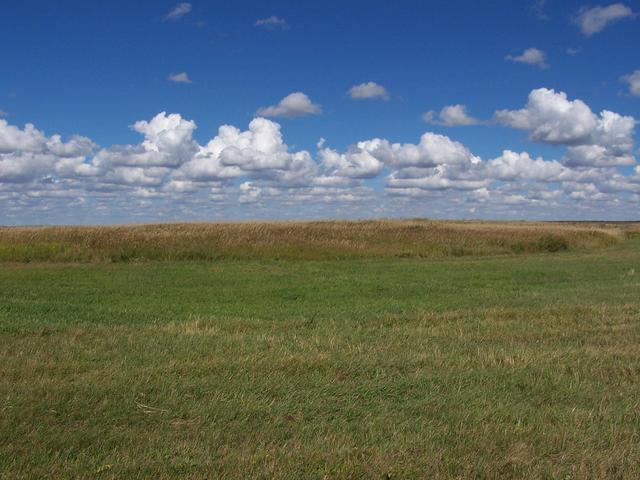 Looking North from the confluence.