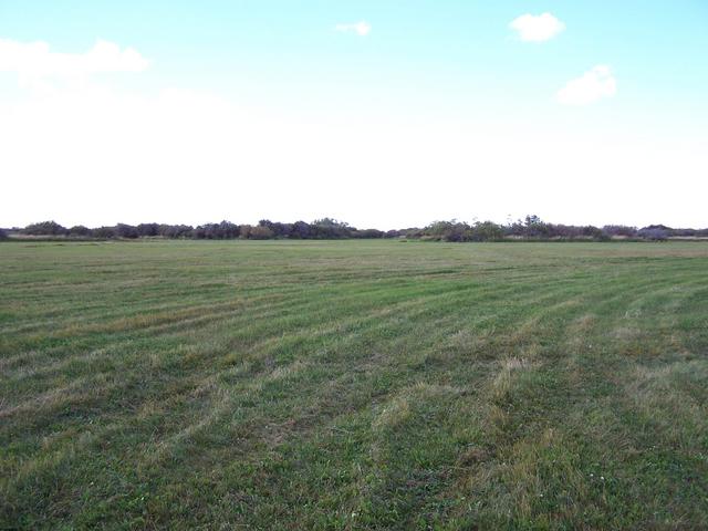 Looking West from the confluence.