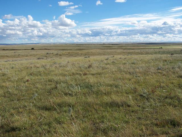 Overview of the confluence taken from the Trans Canada Highway 3.8 km to the North.