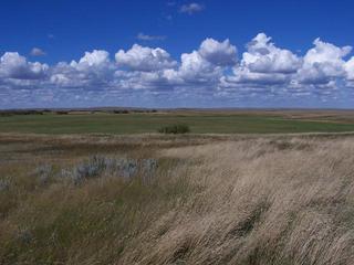 #1: Overview of the confluence from 300 meters looking North.