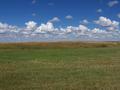 #2: Looking North from the confluence.